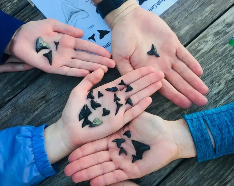 a group of hands holding small black objects